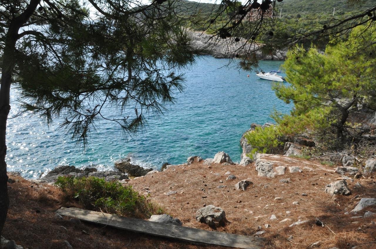 Villa Ariel Luštica Extérieur photo